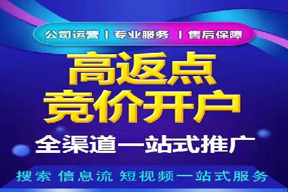 百度推广价格策略案例：如何精准投放预算